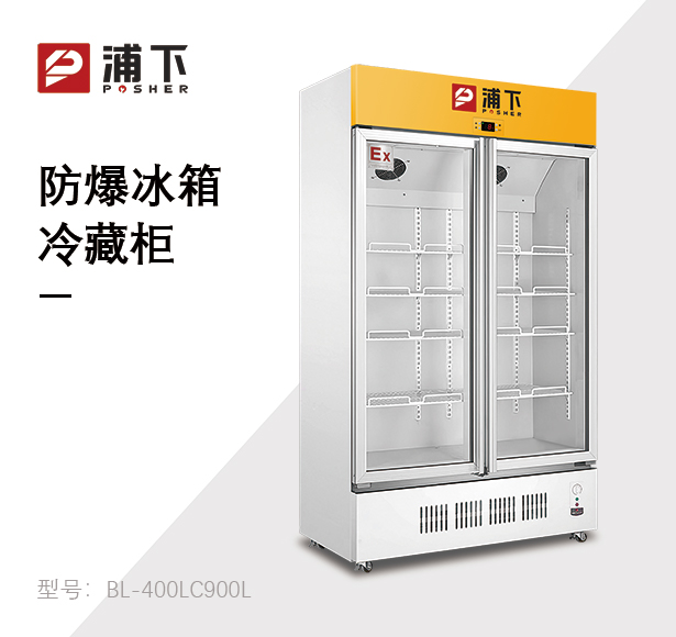 浦下防爆冷藏柜-双门单温900L